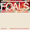 Foals - Wake Me Up (Gaspard Augé and Victor Le Masne Remix) - Single